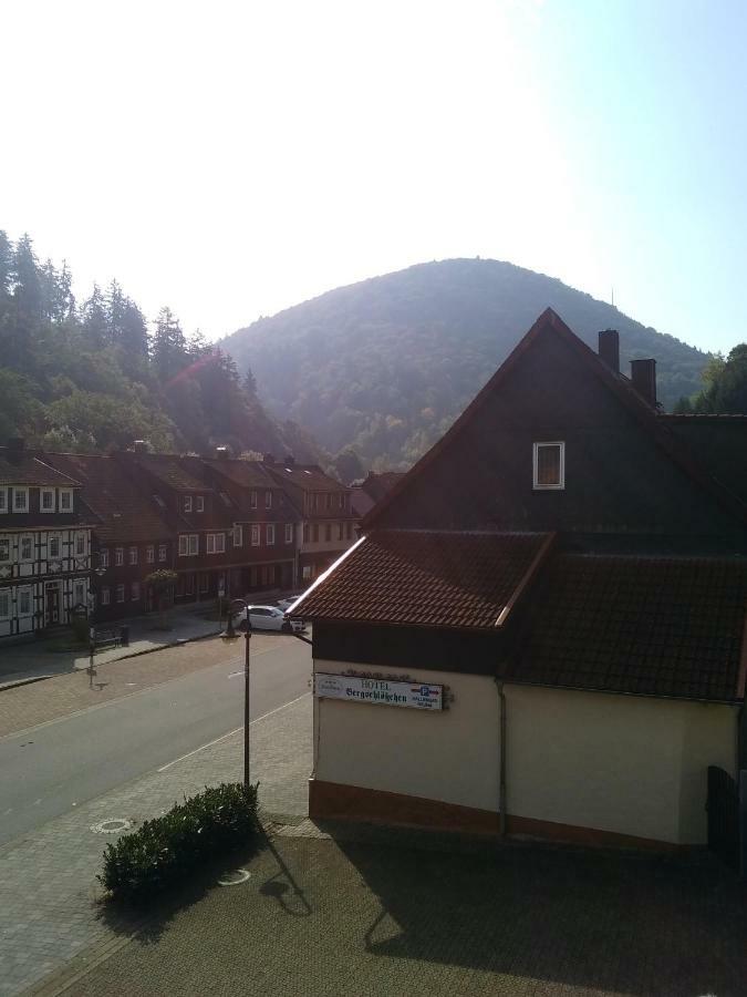 Hotel Bergschlosschen Zorge Exterior foto